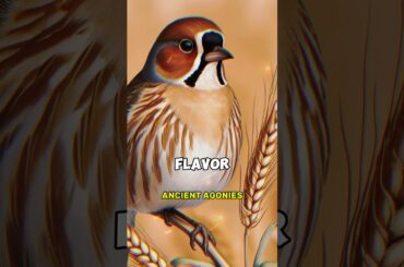 Ortolan: The Controversial French Delicacy Shrouded in Secrecy and Shame #history #education #shorts