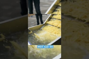 How McDonald's makes its French fries in factories