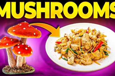 The Marvelous History of Mushrooms