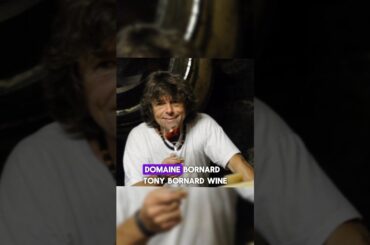 Domaine Bornard | Tony Bornard Wine #wein #wine #facts #winelover #sommelier