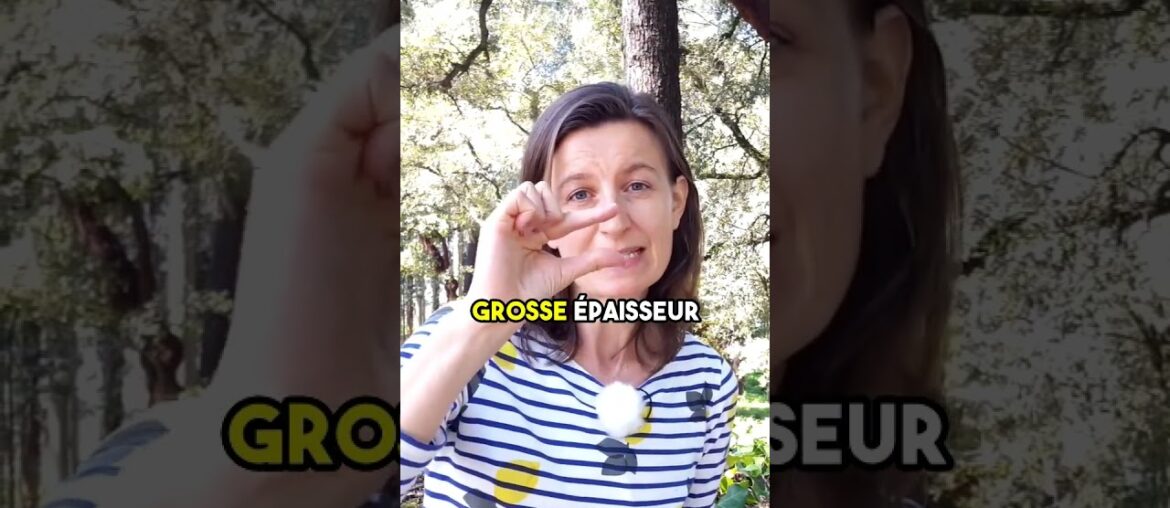 The Art of Crafting Quality Cork for Wine Bottle Stoppers