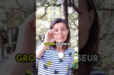 The Art of Crafting Quality Cork for Wine Bottle Stoppers