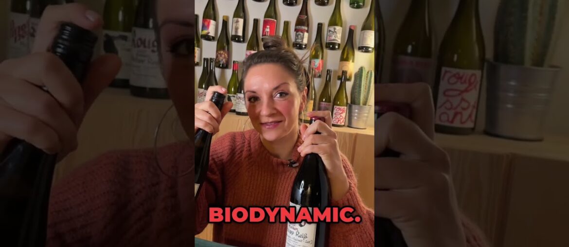 This is the Future of German Winemaking! This is the Future of German Winemaking!