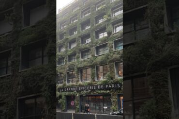 Hidden gems of a gourmet market in France