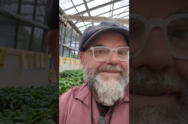 French nursery find for the garden