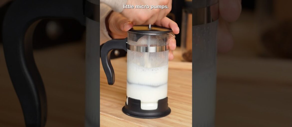 froth your milk in a french press