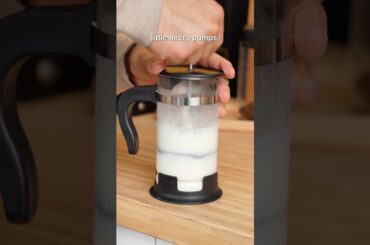 froth your milk in a french press