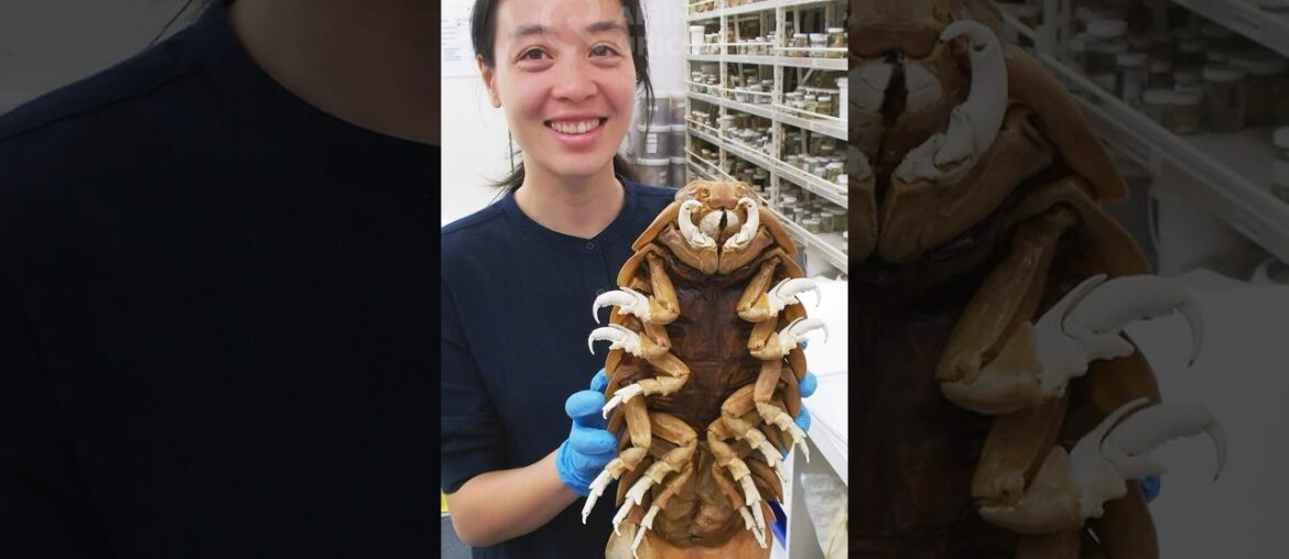 STUNNING RARE IMAGES | PART 22 STUNNING RARE IMAGES | PART 22