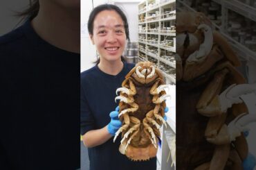 STUNNING RARE IMAGES | PART 22