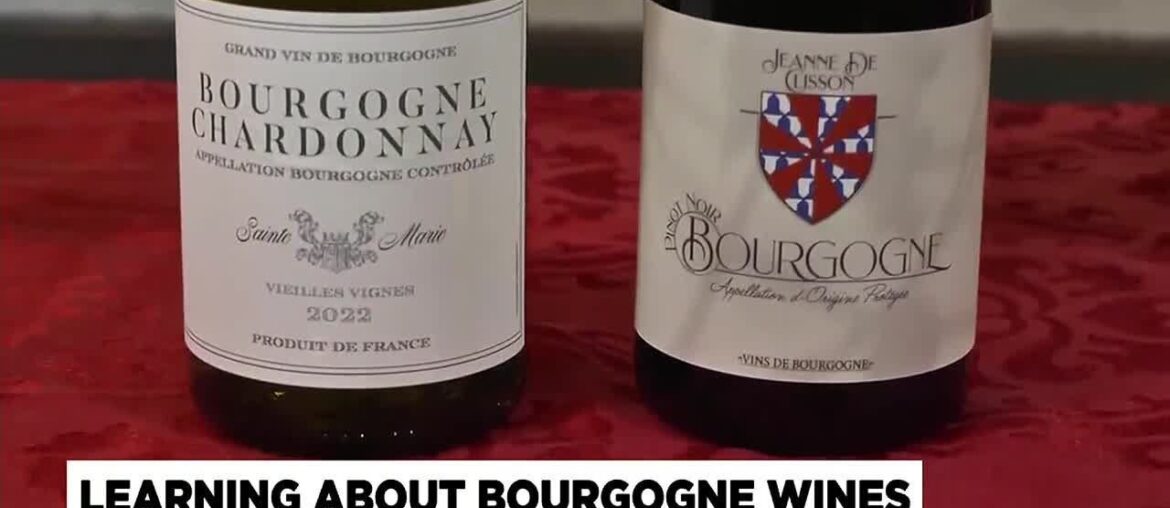 Beautiful Bourgogne wines for your holiday gatherings Beautiful Bourgogne wines for your holiday gatherings