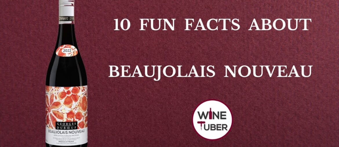 Beaujolais Nouveau 2024.  Fun facts about Beaujolais Nouveau wine @WineTuber