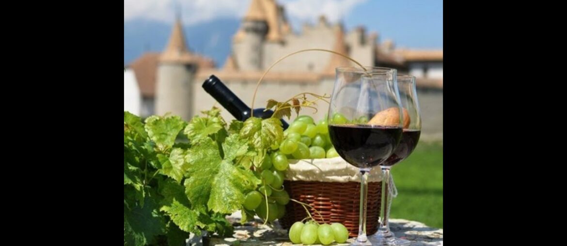 An insight into French wine An insight into French wine