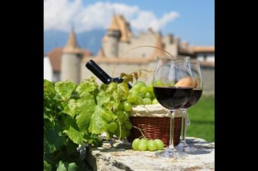 An insight into French wine