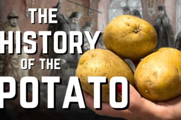 From "The Work of the Devil" to Fast Food French Fries: The Wild Story of Potatoes
