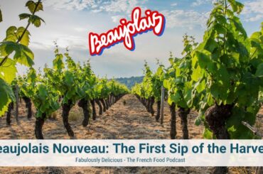 Beaujolais Nouveau: The First Sip of the Harvest