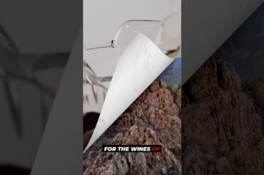 Exploring Wine Tasting in the French Alps #travel #solotravels #shortvideo