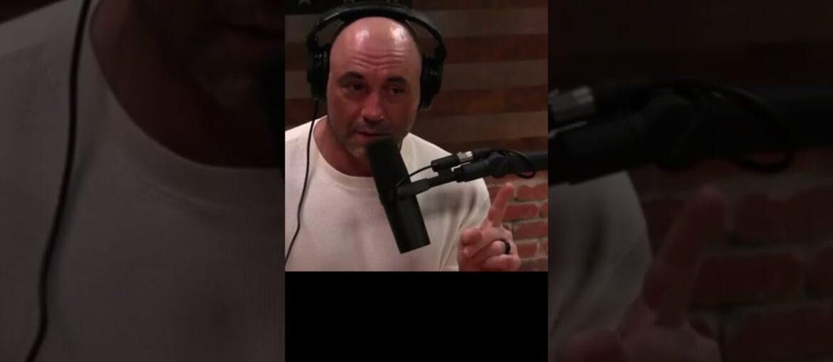 *FRENCH* PEOPLE: Joe Rogan vs Theo Von #joerogan #joeroganexperience #theovon #comedy #funny #jre *FRENCH* PEOPLE: Joe Rogan vs Theo Von #joerogan #joeroganexperience #theovon #comedy #funny #jre