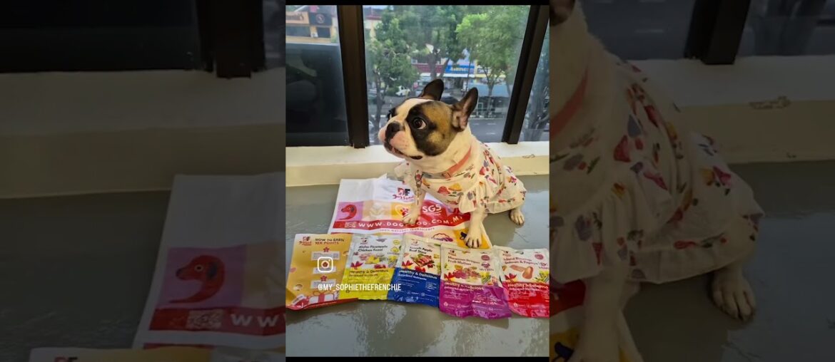 Christmas & New Year Gift: Festive Flavors Around the World Christmas & New Year Gift: Festive Flavors Around the World