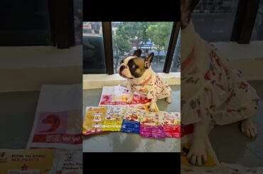 Christmas & New Year Gift: Festive Flavors Around the World