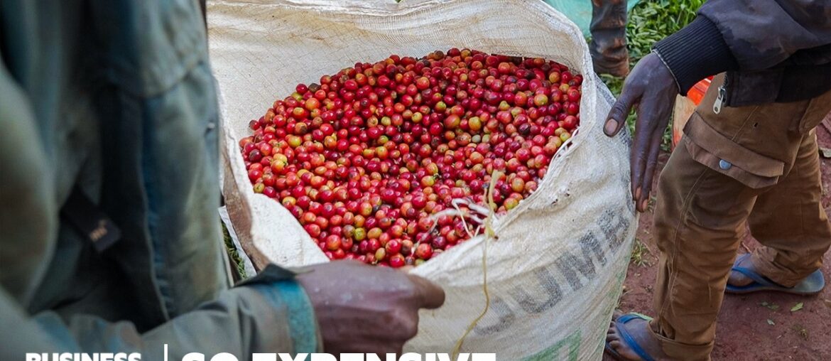 Why Single-Origin Coffee Is So Expensive | So Expensive Food | Insider Business