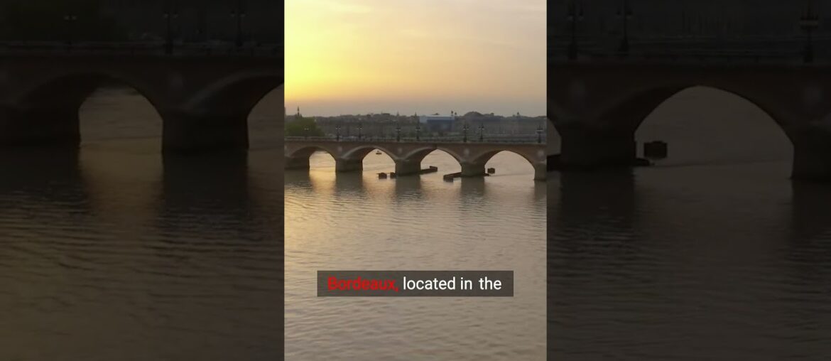 Bordeaux’s Secrets: Sip, Savor, and Explore! #fyp #viralvideo #shorts #youtubeshorts #travel #viral