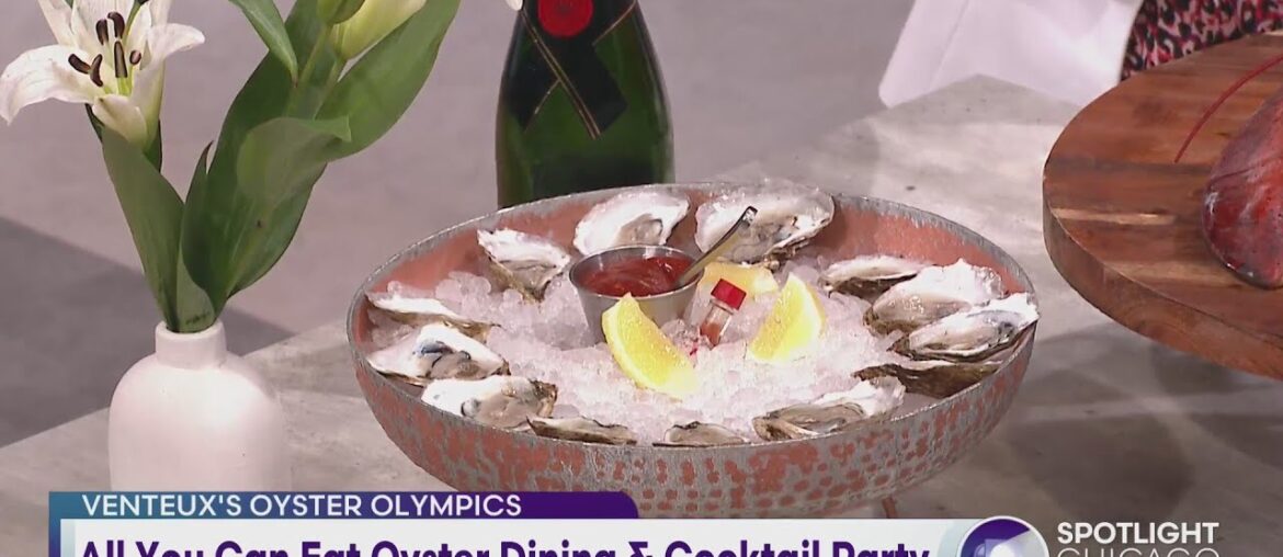 All You Can Eat Oyster Dining & Cocktail Party