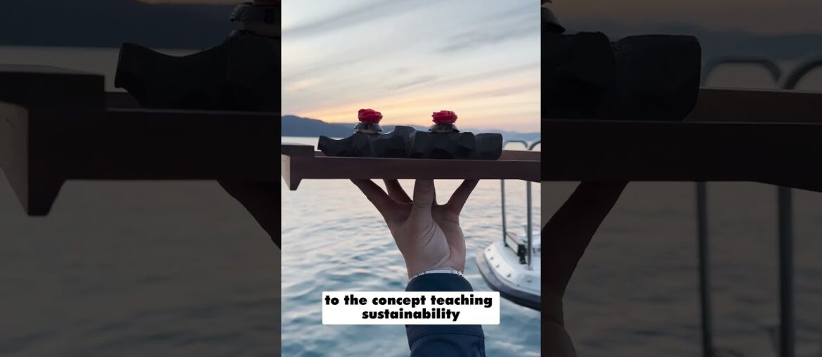 An unexpected dining experience on the Norwegian fjords