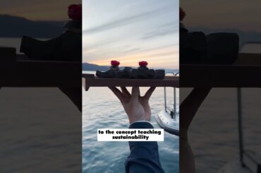 An unexpected dining experience on the Norwegian fjords