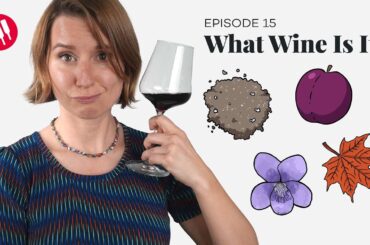 Learn by Tasting (ep. 15) Wine Folly