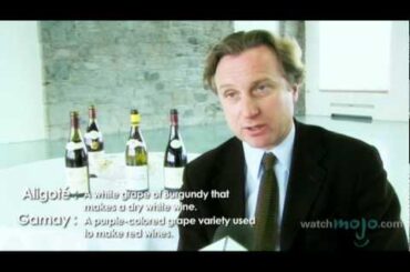 France's Burgundy Bourgogne Wine Region