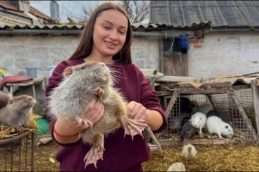 An Unusual Meat Dish From The Countryside Baked In Oven