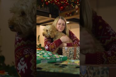 December 8th of crazy French advent calendars