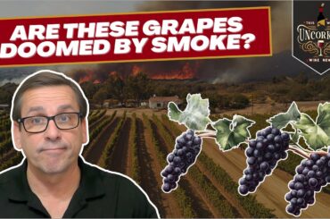 Smoke Taint Forces Tough Choices in Santa Barbara - This Week Uncorked Episode 21