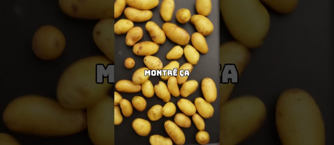 Raclette P1/2 #humour #astucesdecuisine #foryou #cuisinerapide #food #cuisinefacile #recettefacile