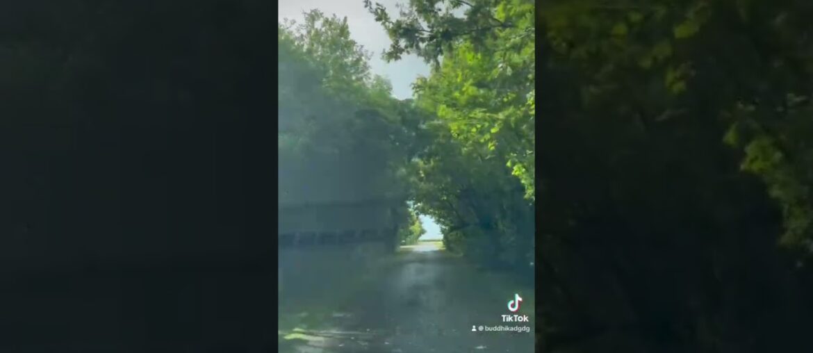 #travel #france #bordeaux #wine #winelovers #chateautalbot#chateauwine#nature