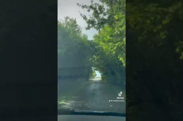 #travel #france #bordeaux #wine #winelovers #chateautalbot#chateauwine#nature