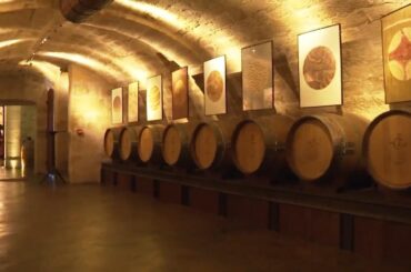 Exploring the Parisian wine cellars of Louis XIV
