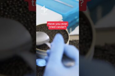 Have you ever tried French caviar?