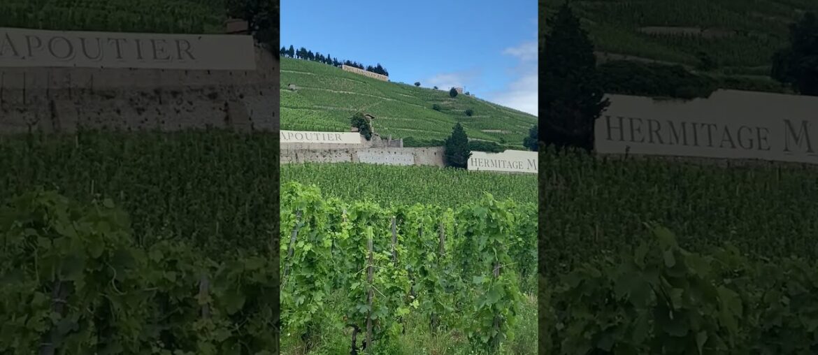 The Hermitage Hill – View from the Bottom #rhonewine #hermitage #frenchwine The Hermitage Hill - View from the Bottom #rhonewine #hermitage #frenchwine