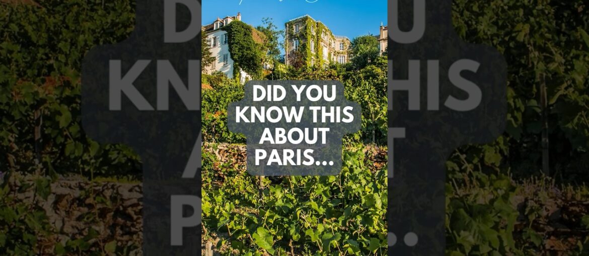 Paris’ Secret Vineyard in Montmartre! #paris #travel #montmarte #wine