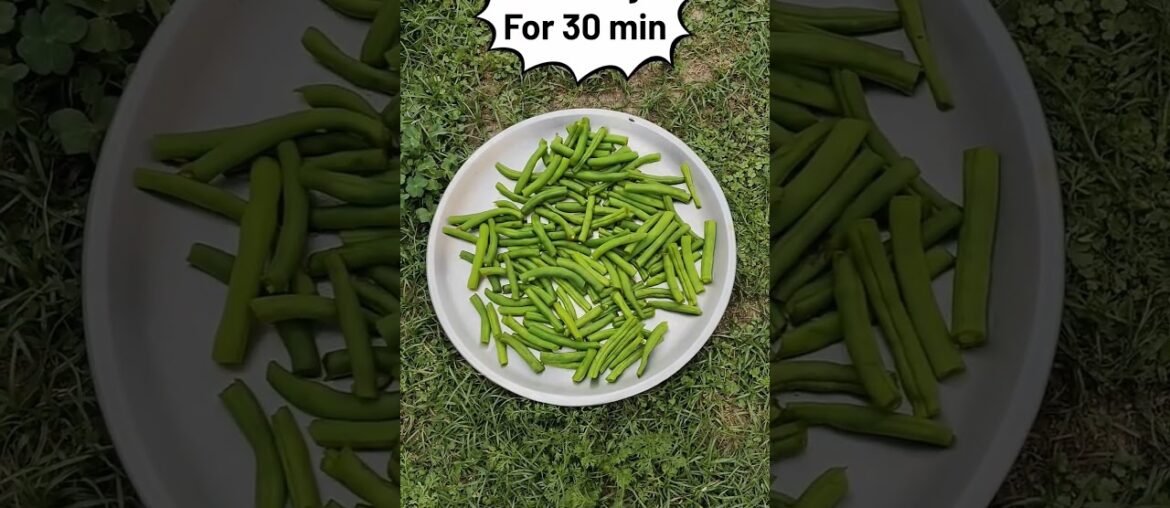 French Beans Ka Achaar | French Beans Pickle Recipe