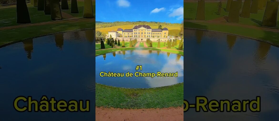 5 Vineyards You Have to Visit In Beaujolais, France #winetasting #winelovers #shortsvideo