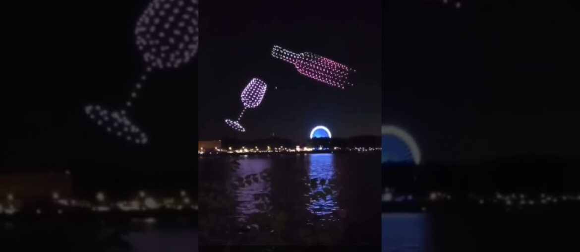 Wine Festival Celebration- Bordeaux, France#winelovers #drones