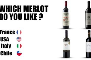 “Merlot Masterpiece: Discover France, USA, Chile, and Italy in 8 Minutes!”