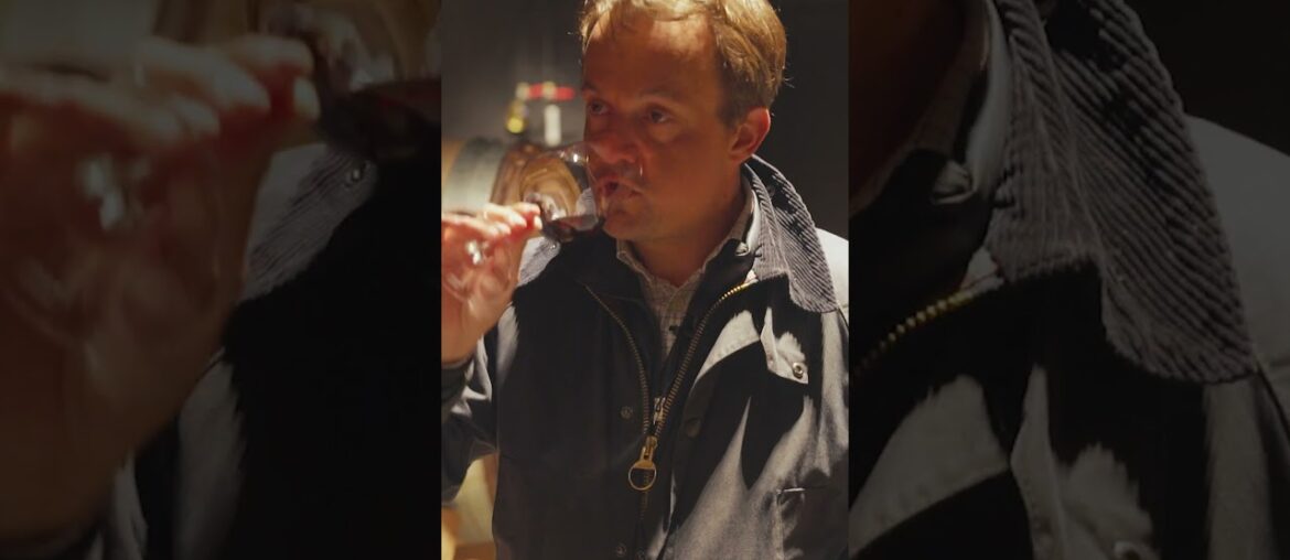 Winery Tour at Domaine Bitouzet-Prieur in Burgundy #travel #wine #france #winerytour #burgundy #fyp