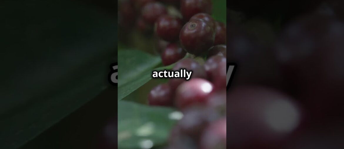 Coffee Hacks You Need to Know!