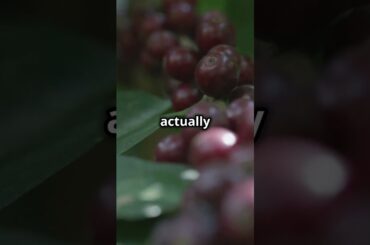 Coffee Hacks You Need to Know!