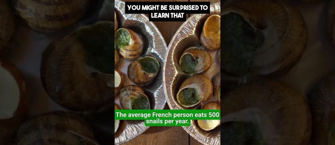 500 Snails a Year  Crazy French Habit!