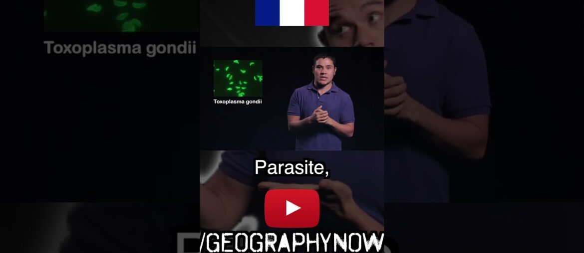 The “parasite” in French brains….. The "parasite" in French brains.....
