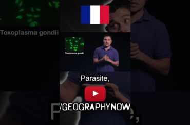 The "parasite" in French brains.....